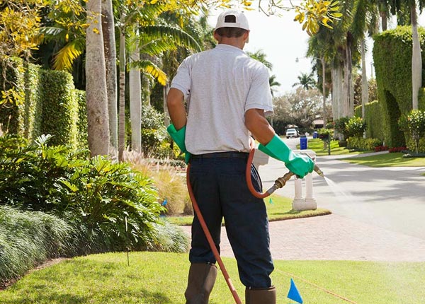 About Storden MN Pest Control
